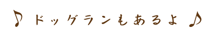 ドッグランもあるよ